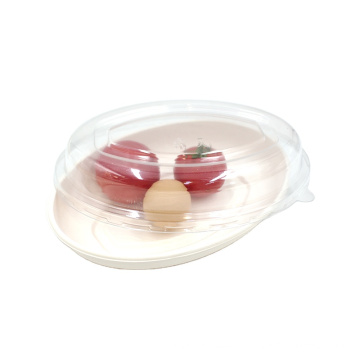 Eco Friendly Compostable Oval Bento Boxes Sugarcane Bagasse Take Out Food Container With Lids